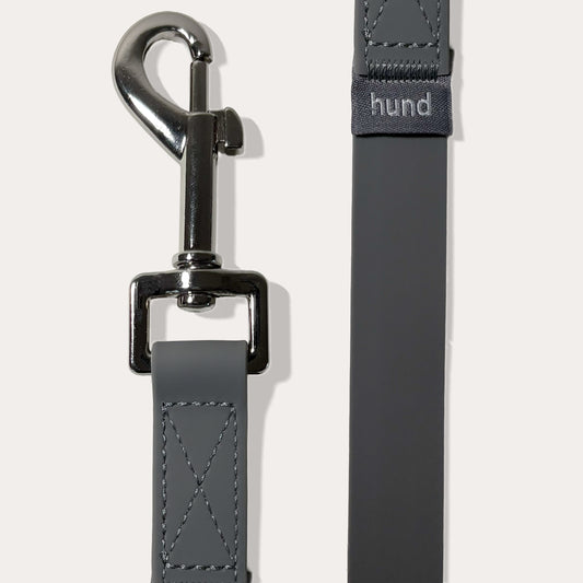 Standard leash grey