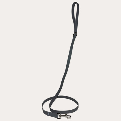 Standard leash grey