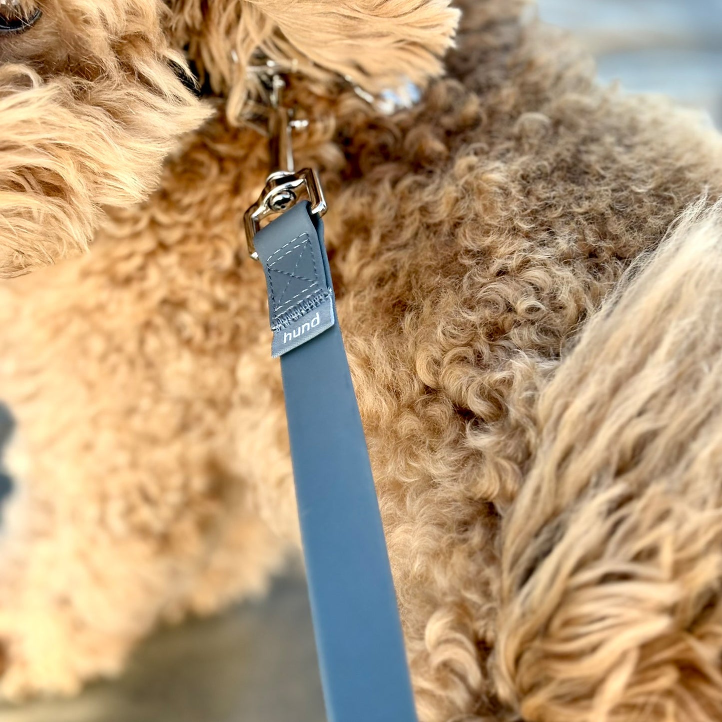 Standard leash grey