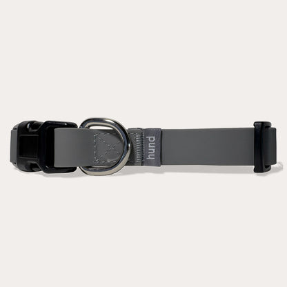 Standard collar grey