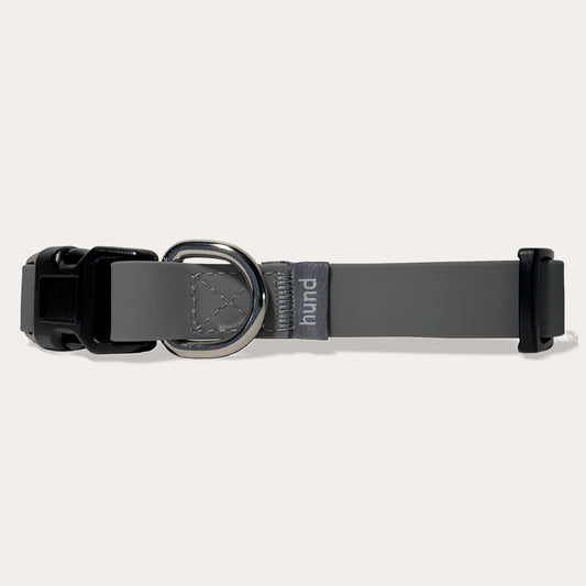 Standard collar grey